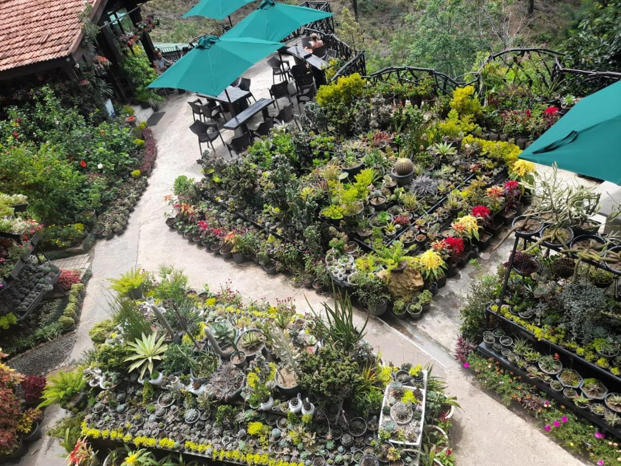 Ella Flower Garden Resort Exterior photo